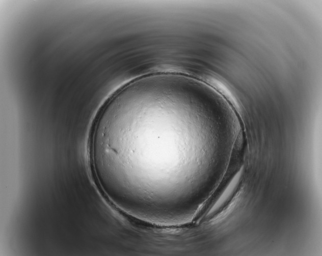 X0000093431141200710191021