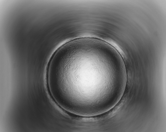 X0000093431142200710191021