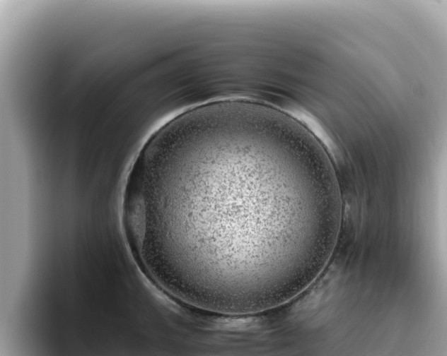 X0000093431143200710191021