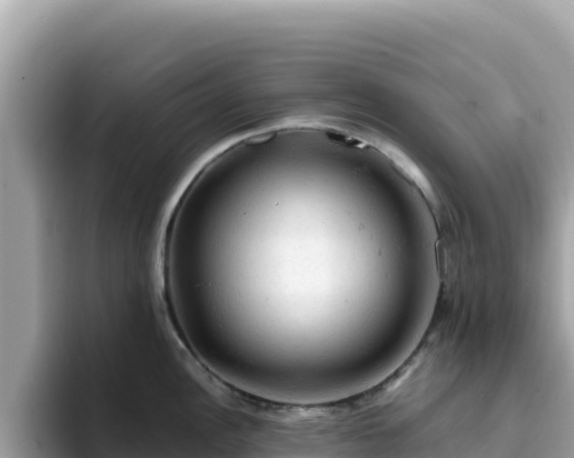 X0000093431148200710191021