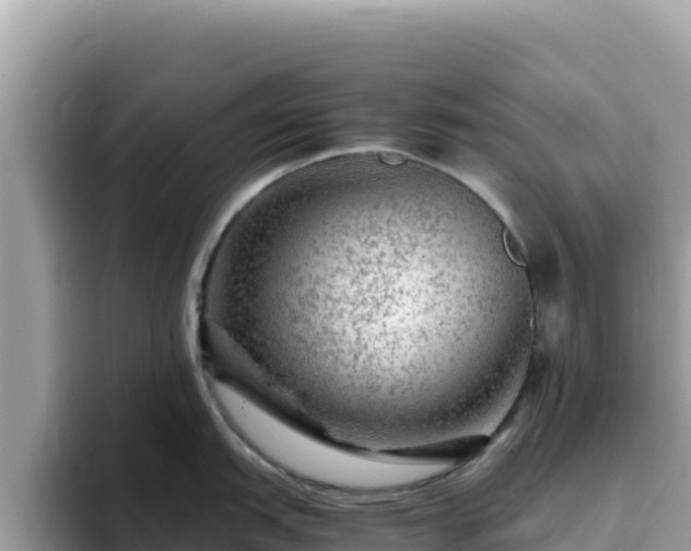 X0000093431151200710191021