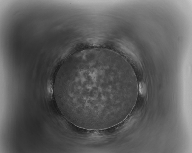 X0000093431155200710191021