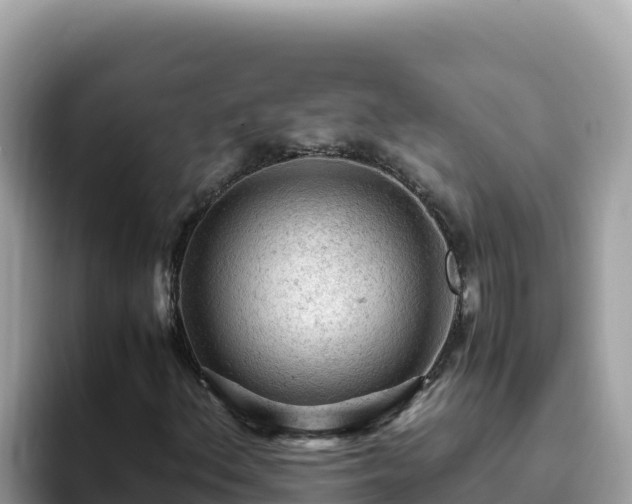 X0000093431156200710191021
