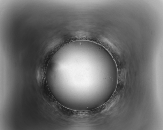 X0000093431157200710191020