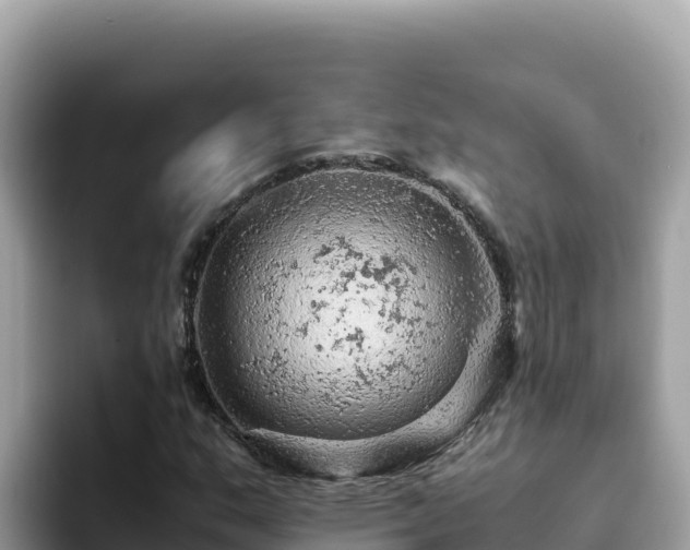 X0000093431159200710191020