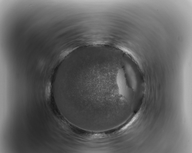 X0000093431161200710191020