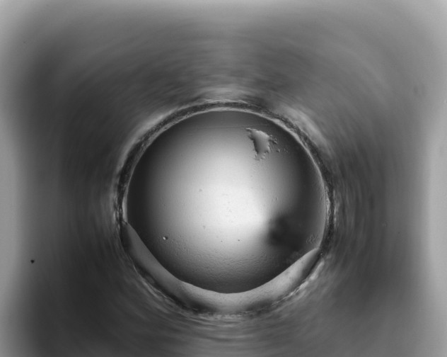 X0000093431164200710191020