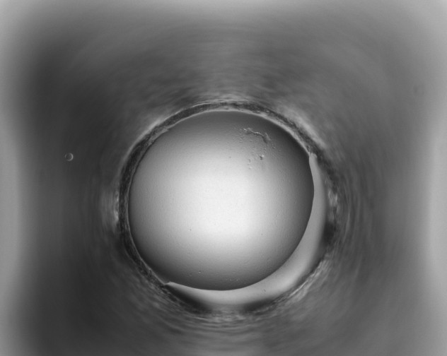 X0000093431165200710191020