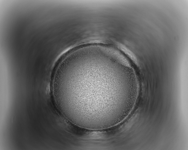 X0000093431166200710191020