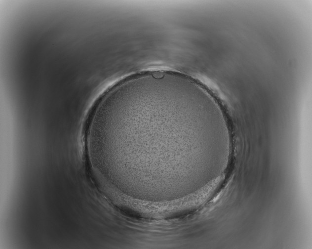 X0000093431167200710191020