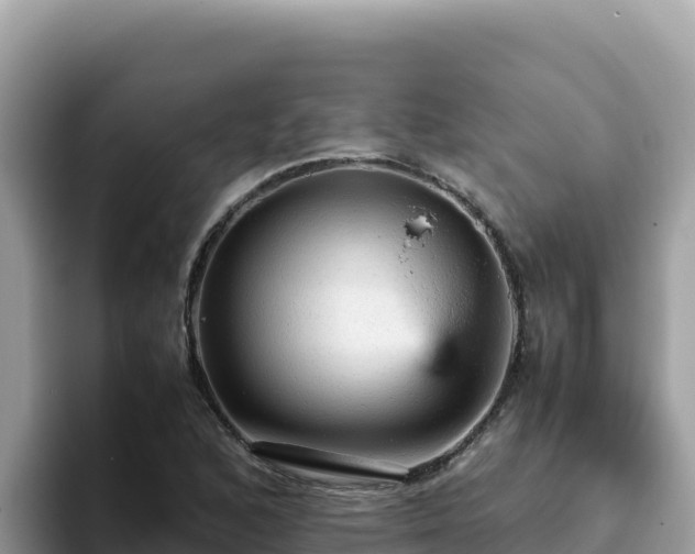 X0000093431168200710191020