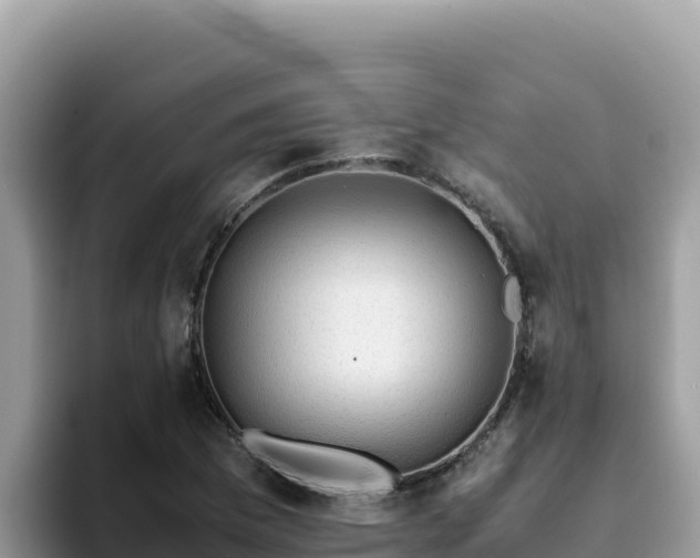 X0000093431169200710191020