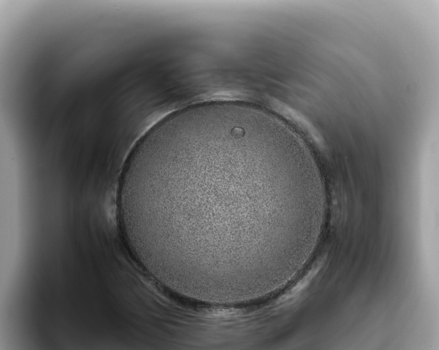 X0000093431170200710191020