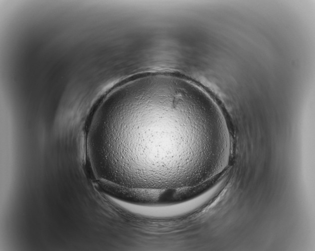 X0000093431171200710191020