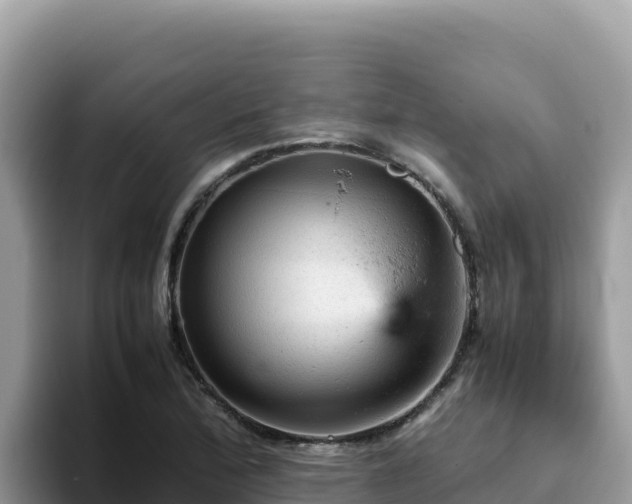 X0000093431172200710191020