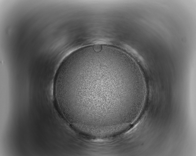 X0000093431174200710191020