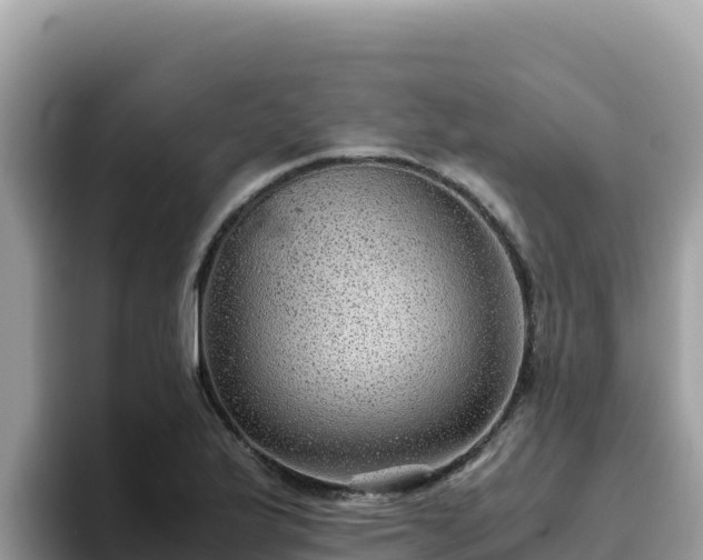 X0000093431175200710191020