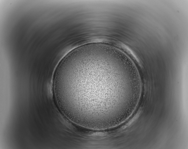 X0000093431178200710191020