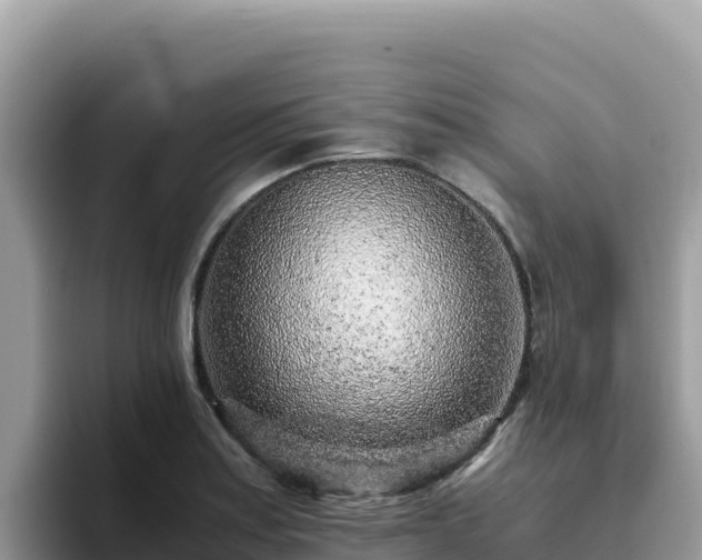X0000093431179200710191020