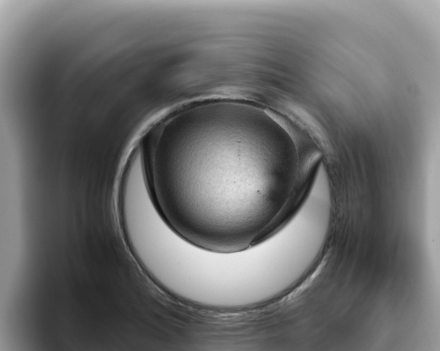 X0000093431180200710191020