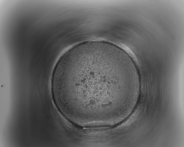 X0000093431183200710191020