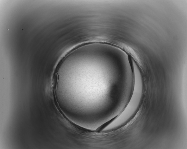 X0000093431184200710191020