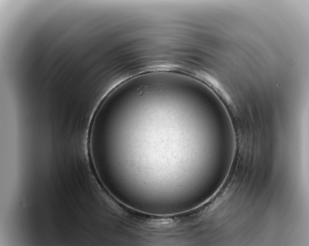 X0000093431186200710191020