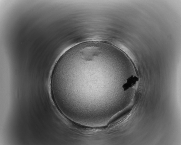 X0000093431187200710191020