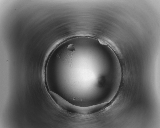 X0000093431188200710191020