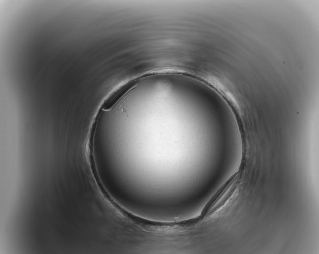 X0000093431189200710191020