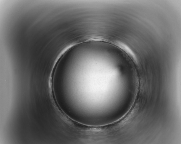 X0000093431190200710191020