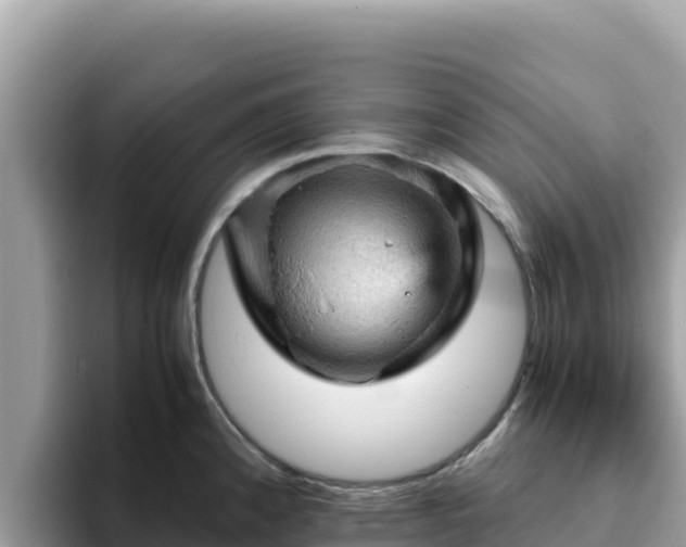X0000093431192200710191020