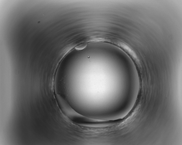 X0000093431193200710191020