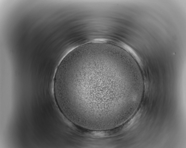 X0000093431194200710191020