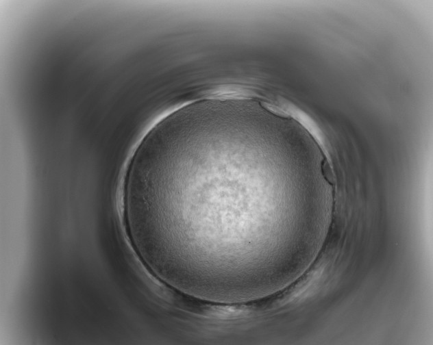 X0000093431195200710191020
