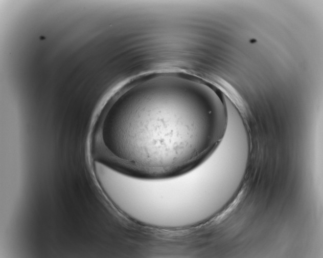 X0000093431196200710191020