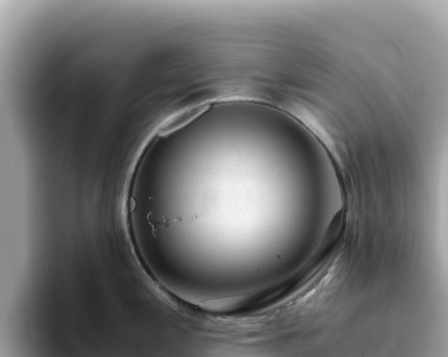 X0000093431197200710191020