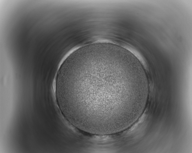 X0000093431198200710191020
