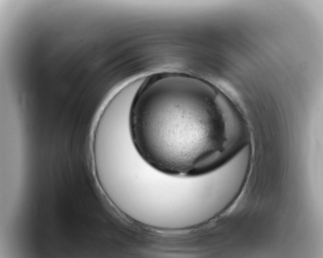 X0000093431200200710191020