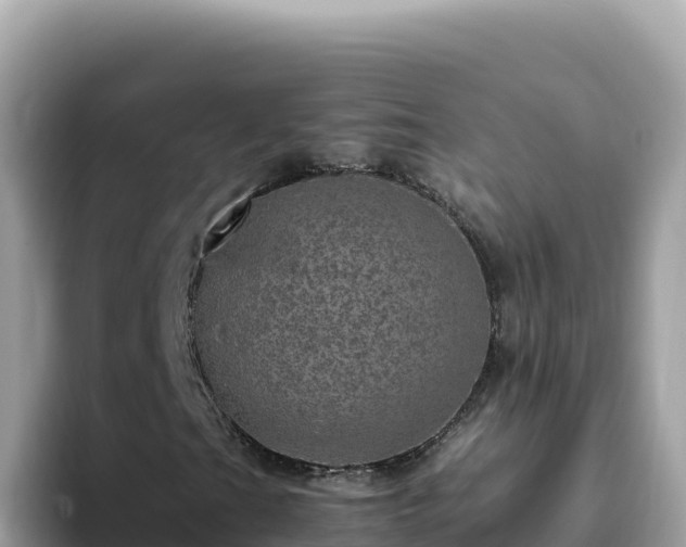 X0000093431201200710191019