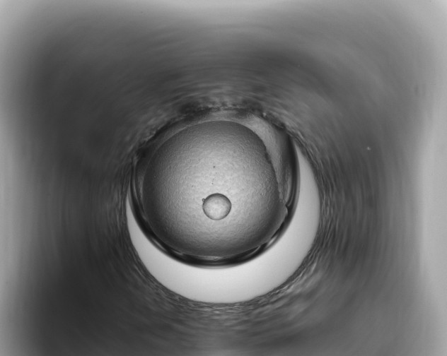X0000093431202200710191019