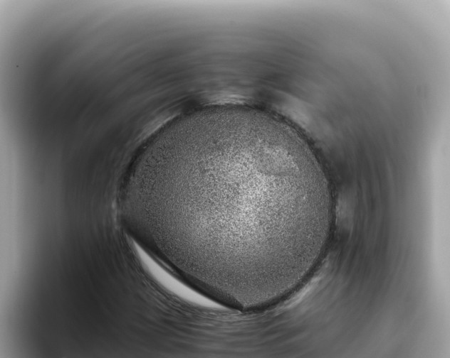 X0000093431209200710191019
