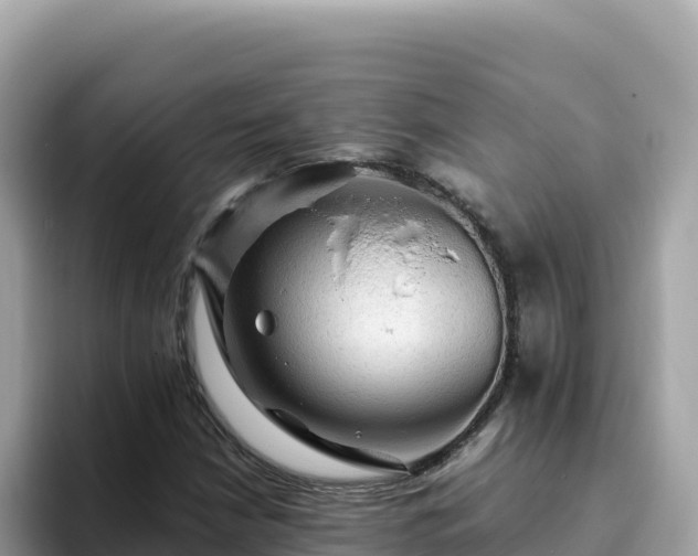 X0000093431210200710191019
