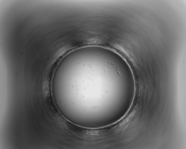 X0000093431211200710191019