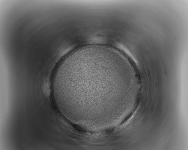X0000093431213200710191019