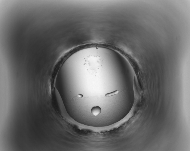 X0000093431214200710191019