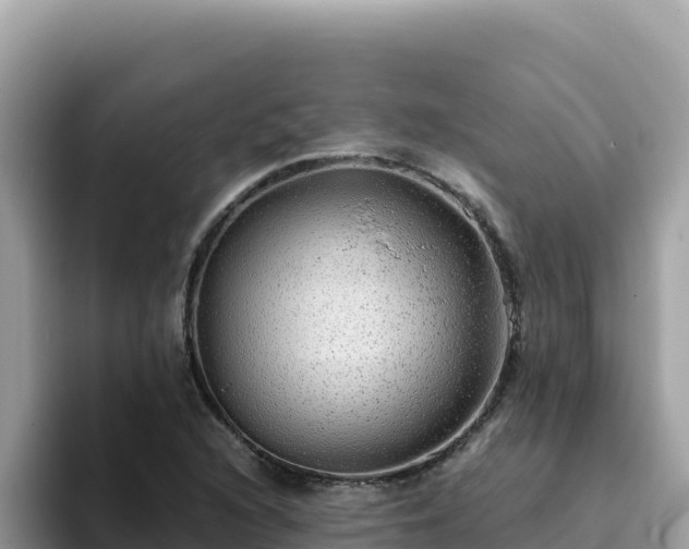 X0000093431216200710191019