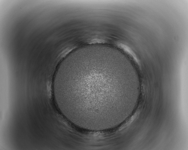X0000093431217200710191020