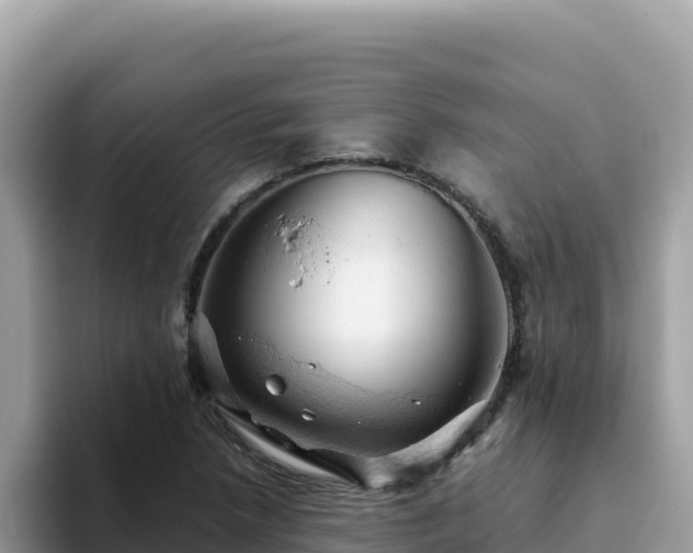 X0000093431218200710191020