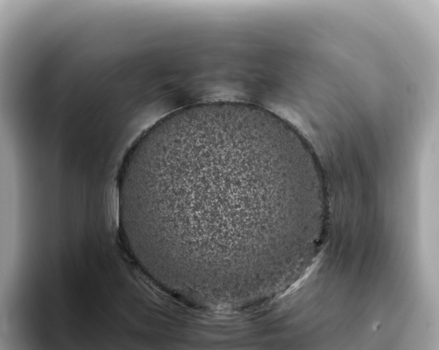 X0000093431219200710191020